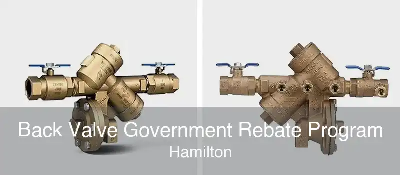 Back Valve Government Rebate Program Hamilton