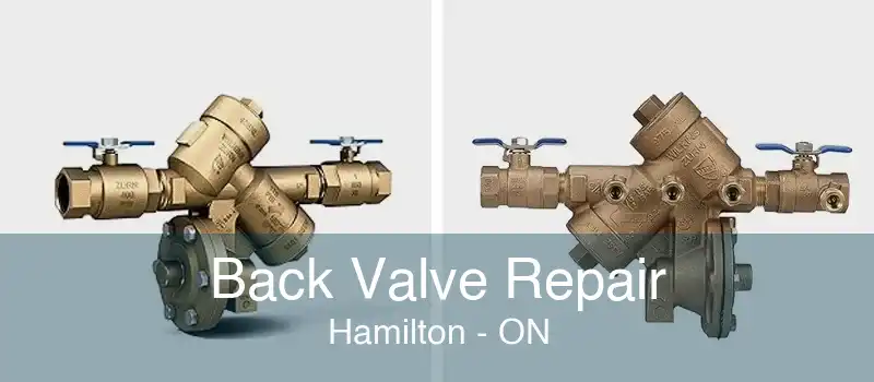 Back Valve Repair Hamilton - ON