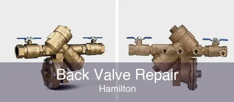 Back Valve Repair Hamilton
