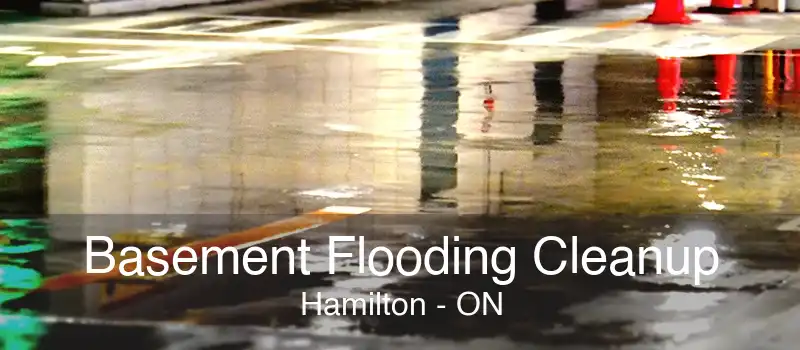 Basement Flooding Cleanup Hamilton - ON