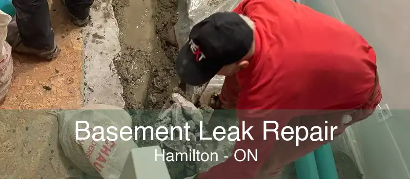 Basement Leak Repair Hamilton - ON