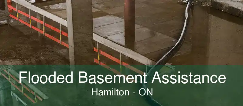 Flooded Basement Assistance Hamilton - ON