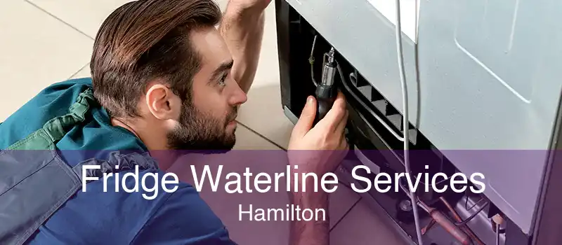 Fridge Waterline Services Hamilton