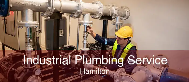 Industrial Plumbing Service Hamilton
