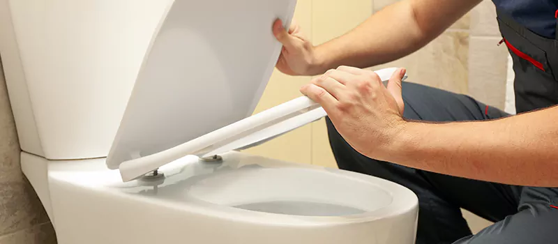 Damaged Toilet Parts Replacement Services in Hamilton