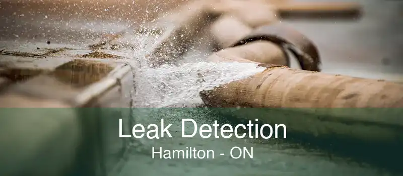Leak Detection Hamilton - ON