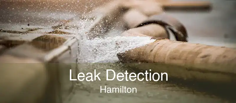 Leak Detection Hamilton