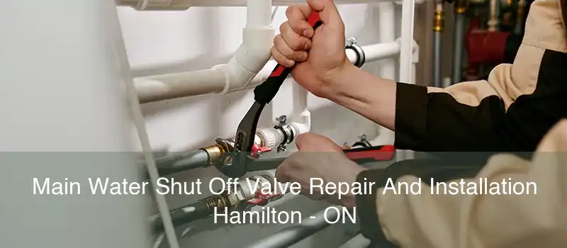 Main Water Shut Off Valve Repair And Installation Hamilton - ON