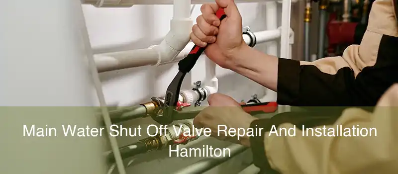 Main Water Shut Off Valve Repair And Installation Hamilton
