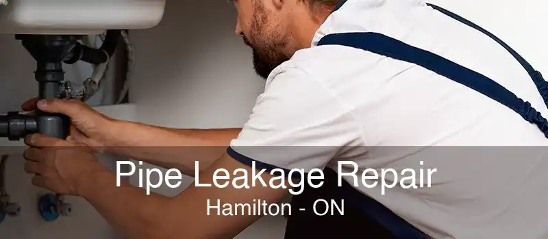 Pipe Leakage Repair Hamilton - ON