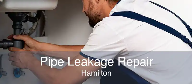 Pipe Leakage Repair Hamilton