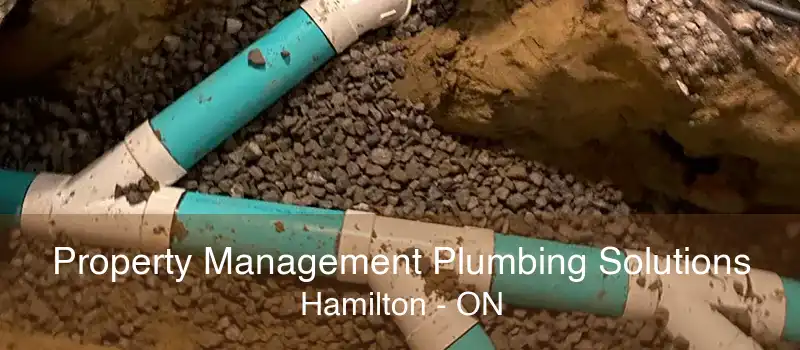 Property Management Plumbing Solutions Hamilton - ON