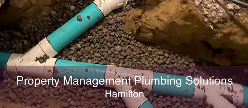 Property Management Plumbing Solutions Hamilton