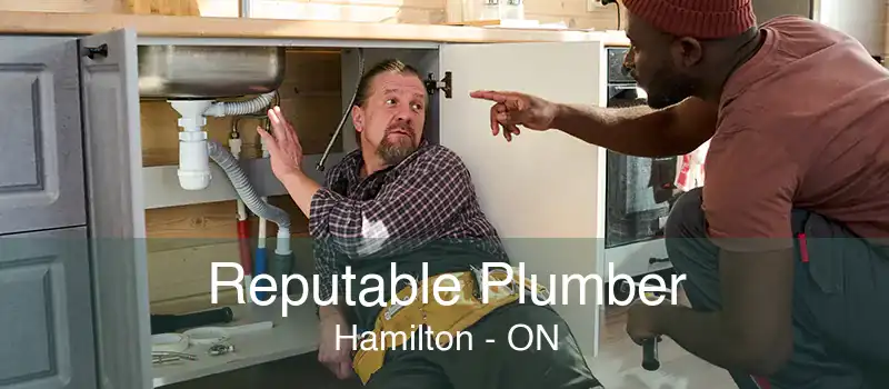 Reputable Plumber Hamilton - ON