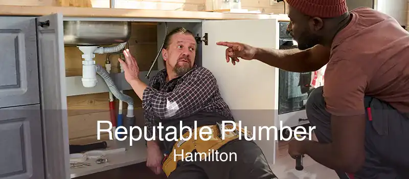 Reputable Plumber Hamilton