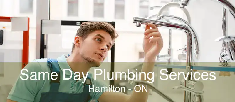 Same Day Plumbing Services Hamilton - ON