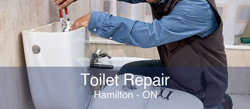 Toilet Repair Hamilton - ON