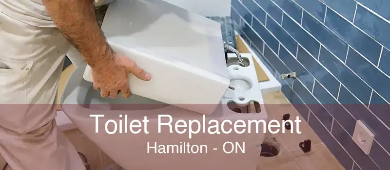 Toilet Replacement Hamilton - ON