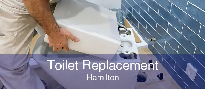 Toilet Replacement Hamilton