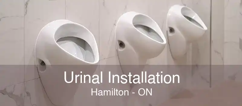 Urinal Installation Hamilton - ON