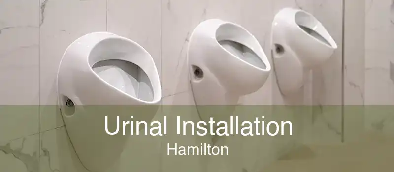 Urinal Installation Hamilton