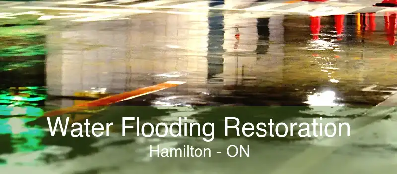 Water Flooding Restoration Hamilton - ON