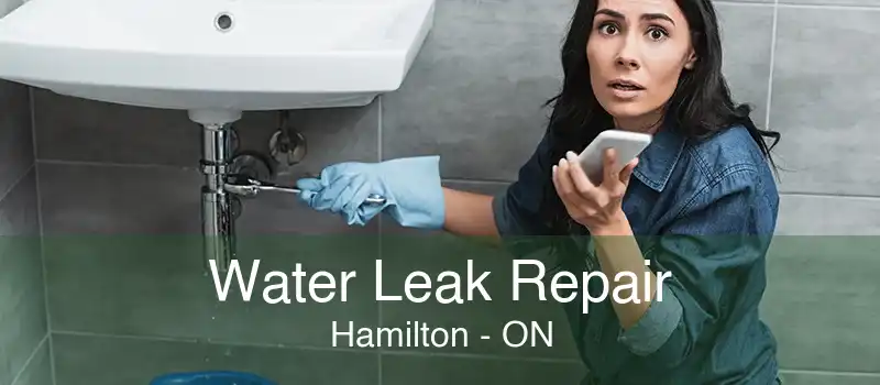 Water Leak Repair Hamilton - ON
