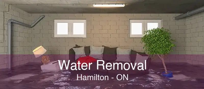 Water Removal Hamilton - ON