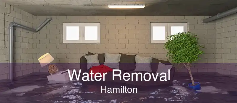 Water Removal Hamilton